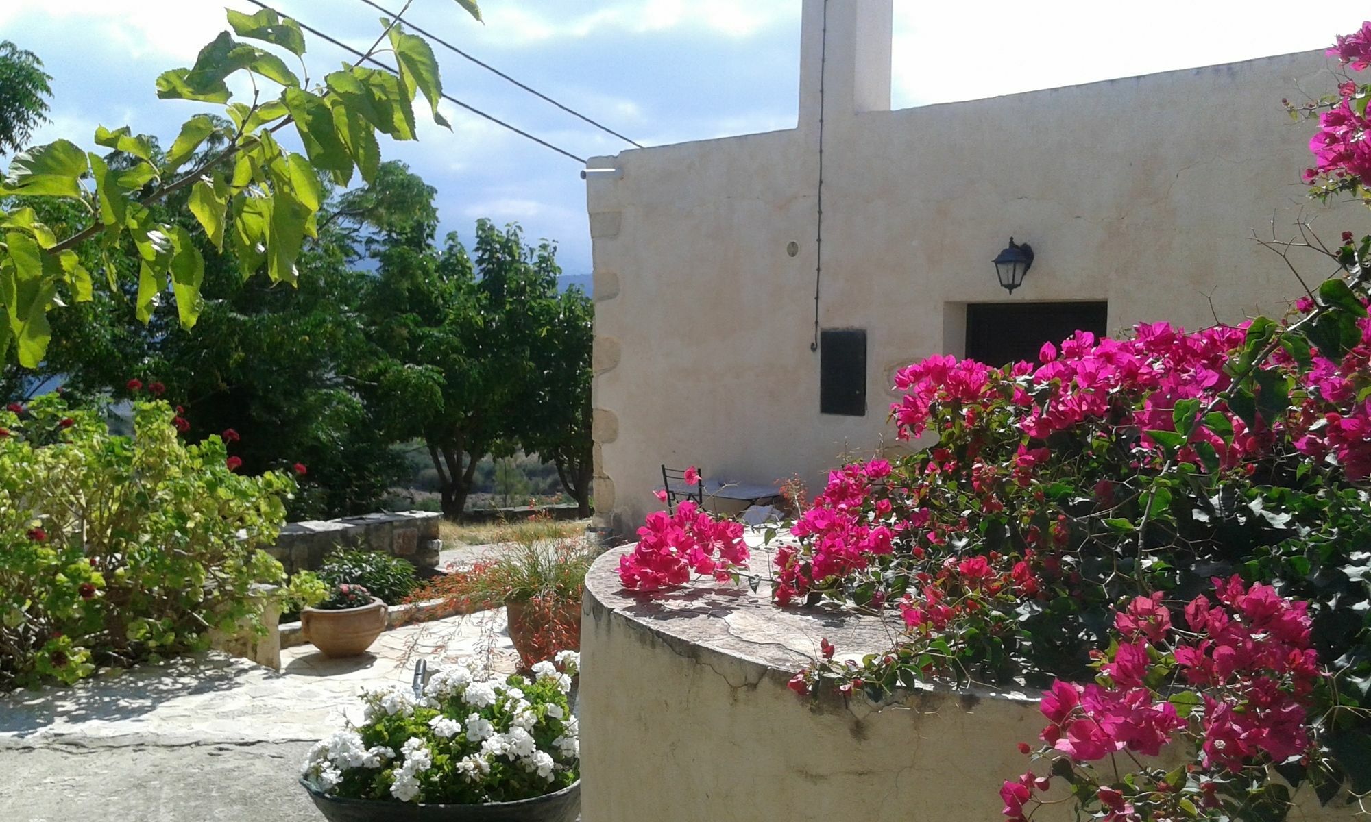 Villa Petra & Elia Megala Chorafia Exterior foto